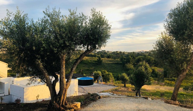 New opening of the holiday home: CASAL REGINA