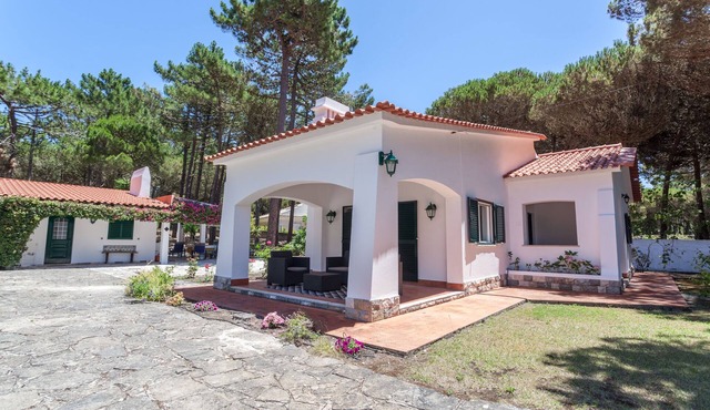 Pine Tree Garden House at Azenhas do Mar - Beaches and Sintra