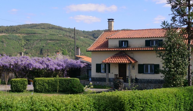 Quiet house on the river beach, amidst the beauty of nature. in Barril de Alva