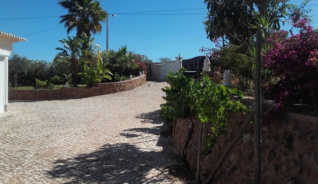 quinta das alfarrobeiras