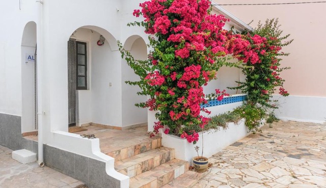 Quinta do Coala - Spacious Countryside Orchard House & Cottage, 10 min from Lagos