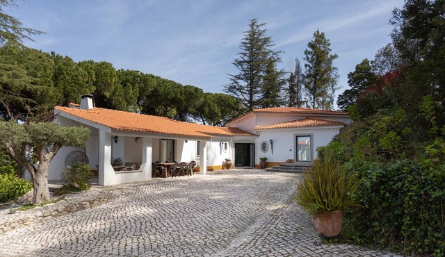 Quinta dos Pinheiros Mansos - Serra d'Arrábida