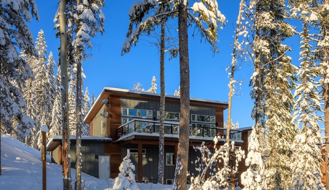 SKI-IN/SKI-OUT. Just built, 4 bedroom, 3.5 bathroom modern Town home, sleeps 12 in Golden