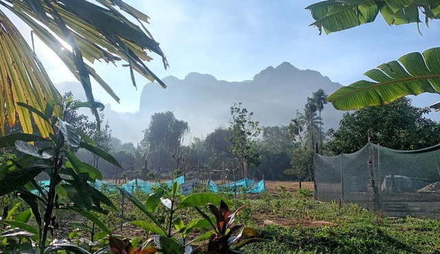 Tara Farm Stay Khao Sok