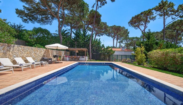 Villa Natura - Traditional charm with private pool between Sintra mountains and the Atlantic sea.