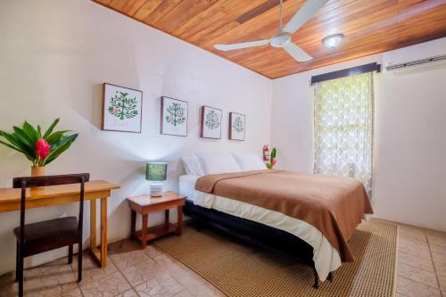 Songs Jungle Lodge Tree 