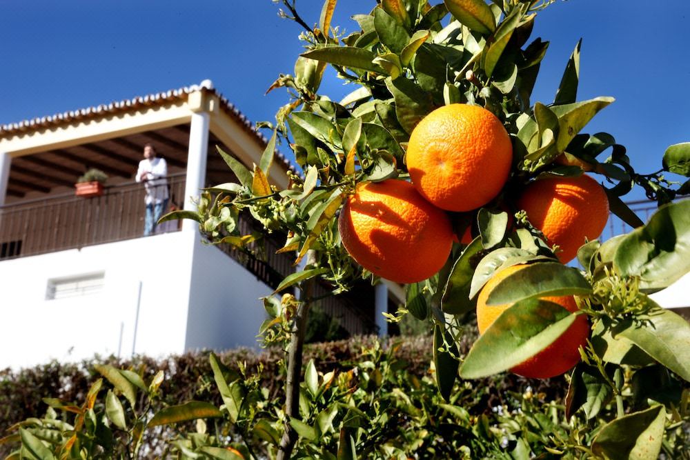Photo of Others in Fonte do Bispo