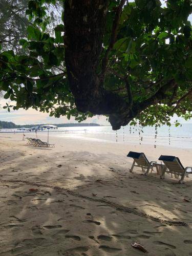Photo of Others in Khao Lak