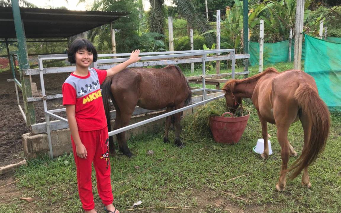 Photo of Others in Takua Pa