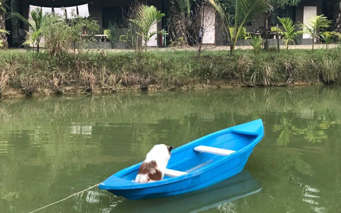Photo of Others in Takua Pa