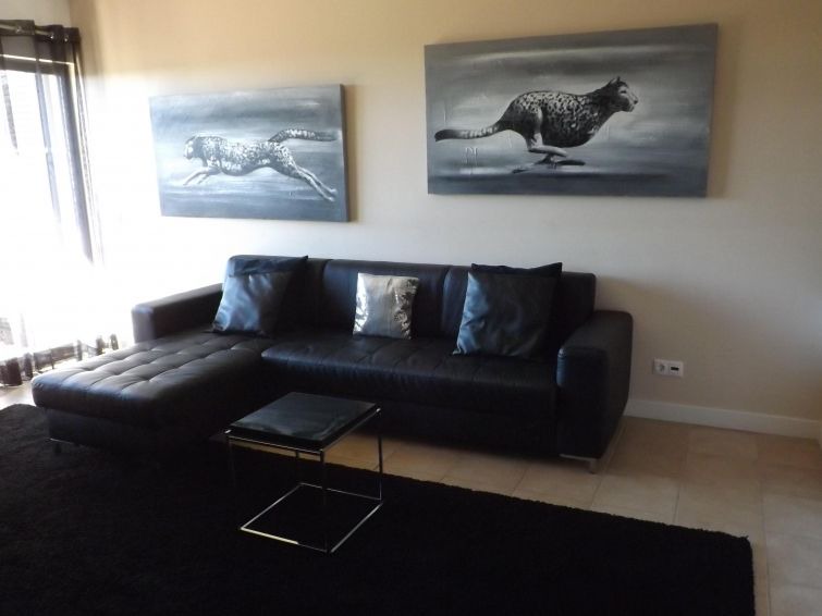 Photo of Livingroom in Cerro de Aguia