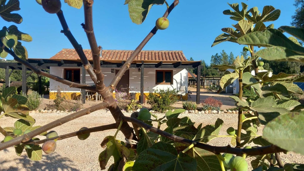 Photo of Outdoor in Baiona