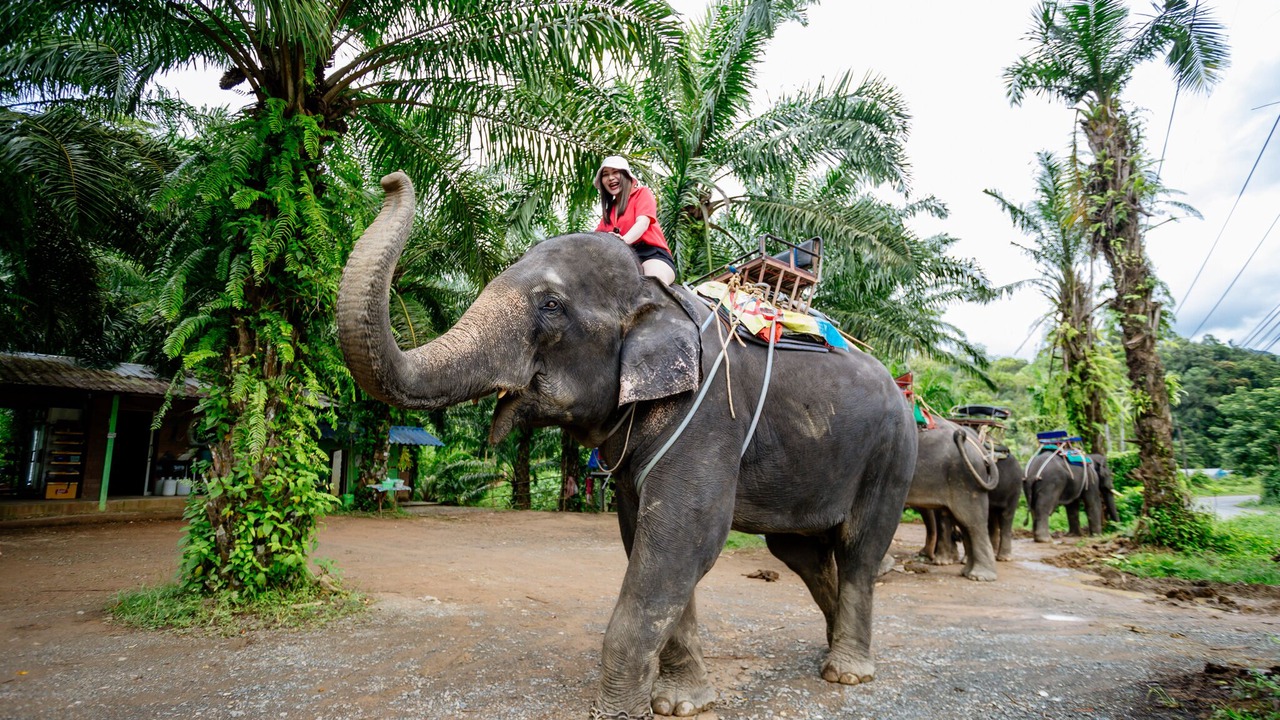 Photo of Others in Phang Nga