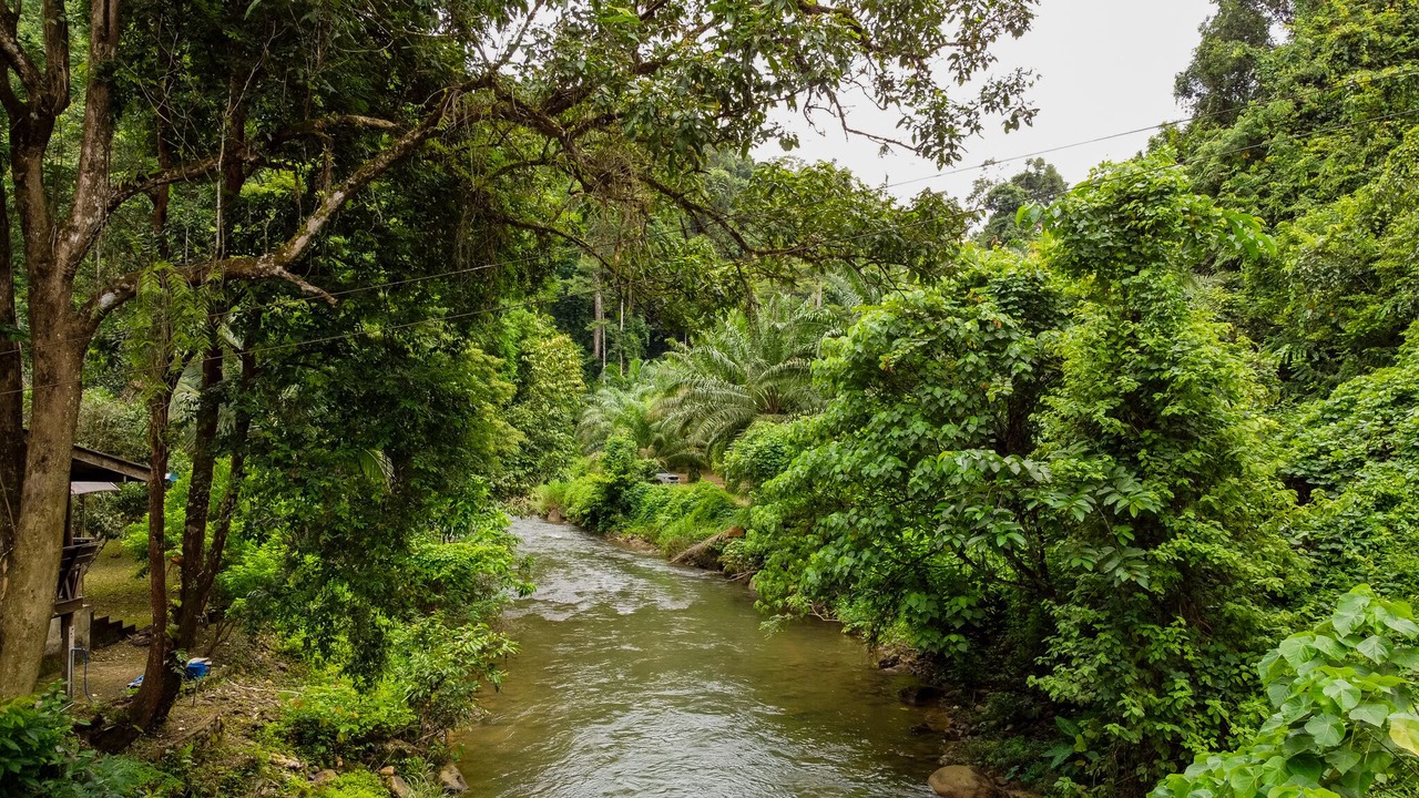 Photo of Outdoor in Phang Nga