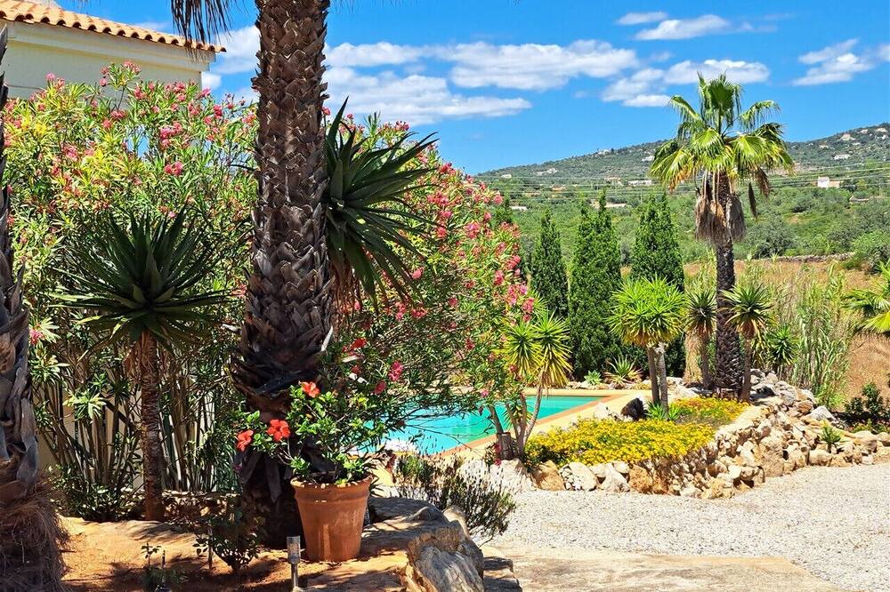 Photo of Outdoor in Estoi