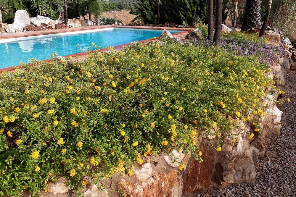 Photo of Outdoor in Estoi