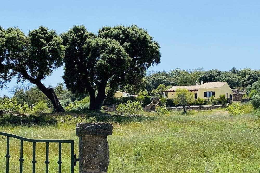Photo of Outdoor in Quinta das Raposeiras
