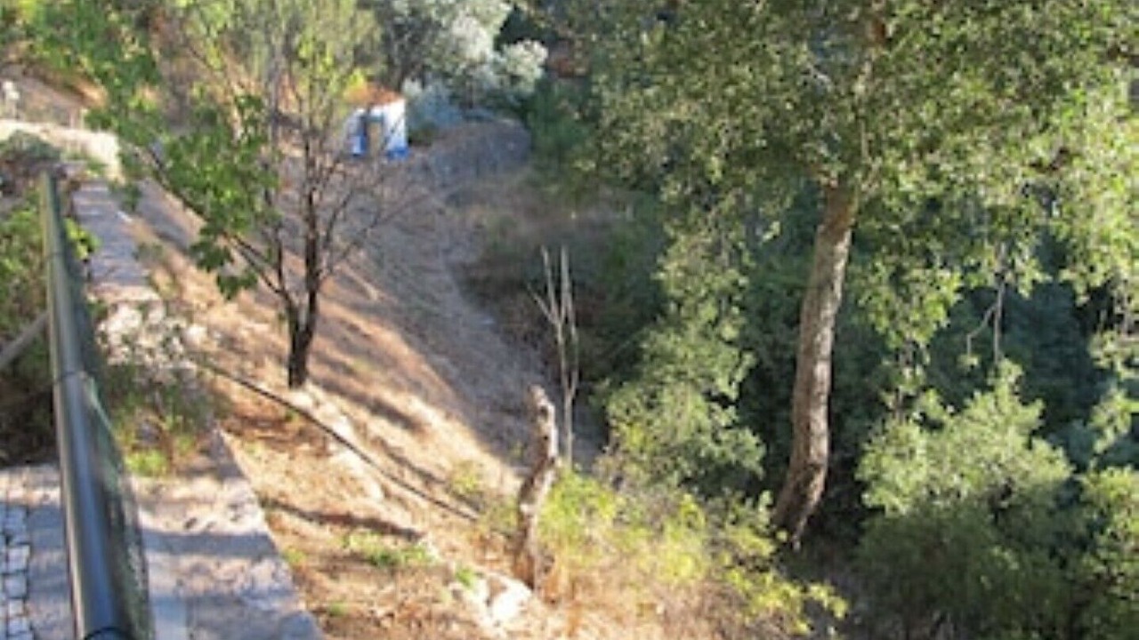 Photo of Others in Monchique