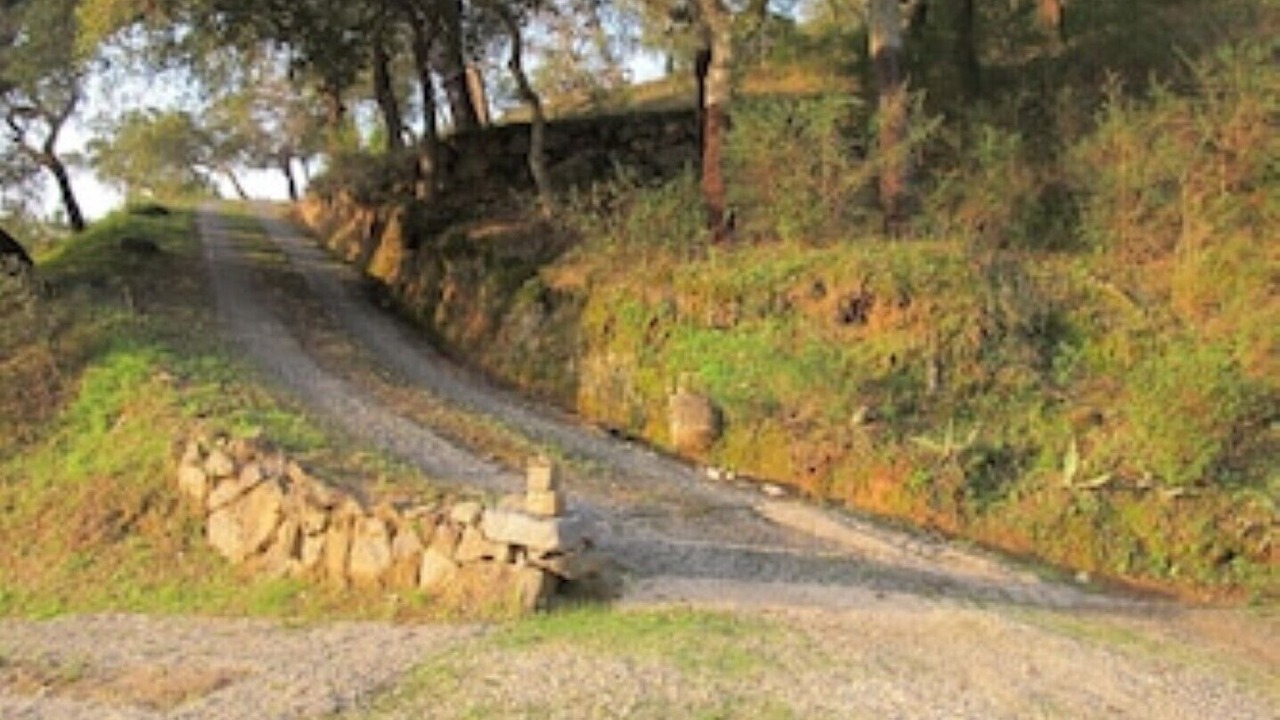 Photo of Others in Monchique