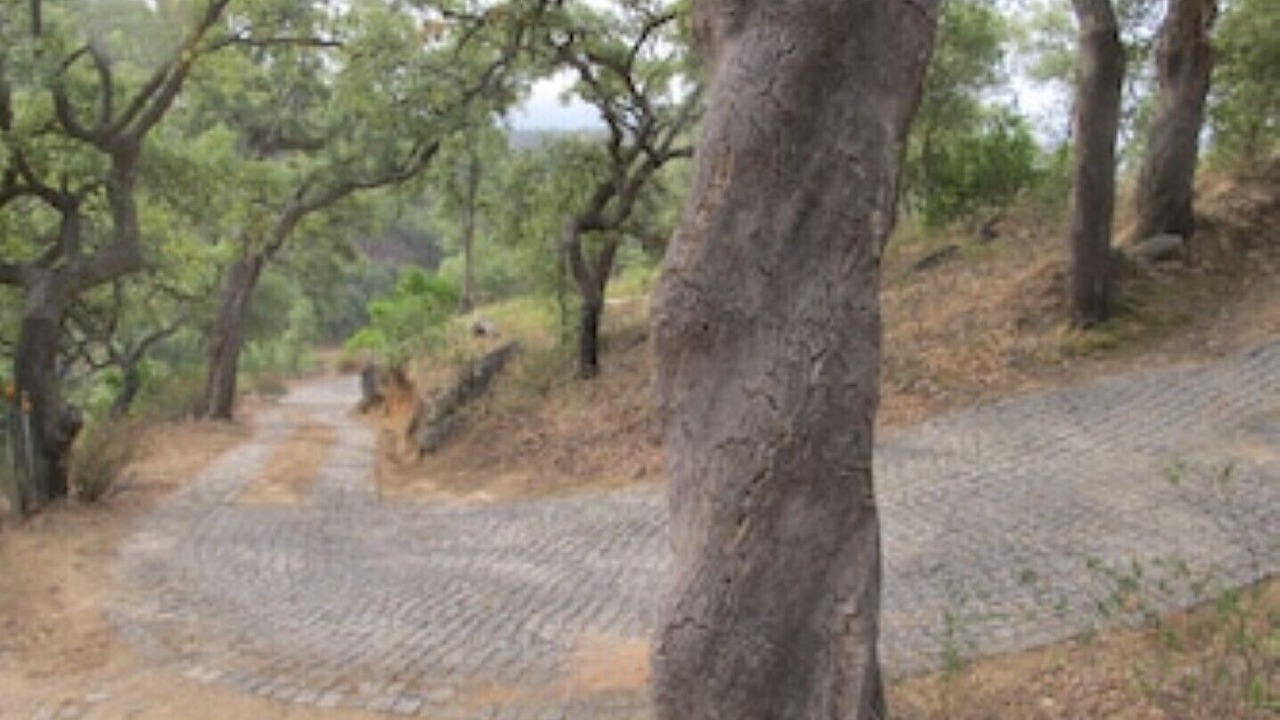 Photo of Outdoor in Monchique