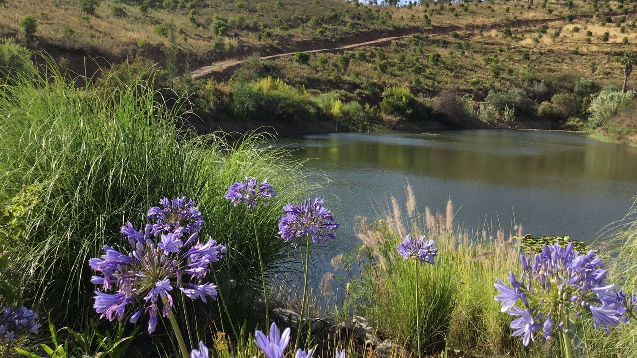 Photo of Outdoor in Barracao