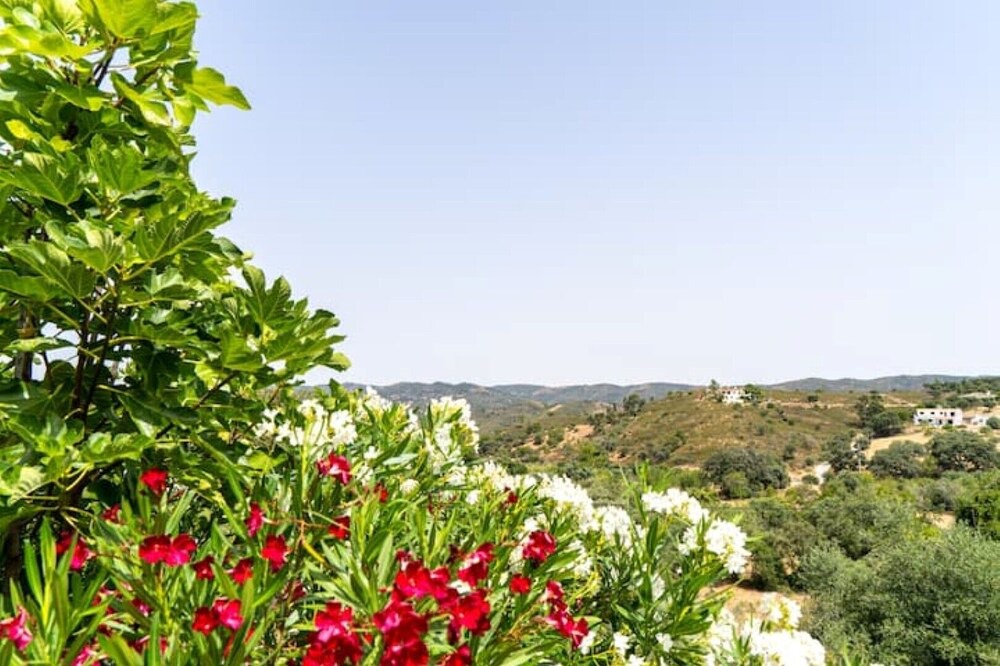 Photo of Others in Sao Bras de Alportel