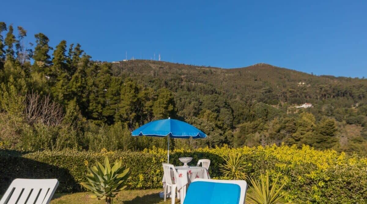 Photo of Outdoor in Monchique