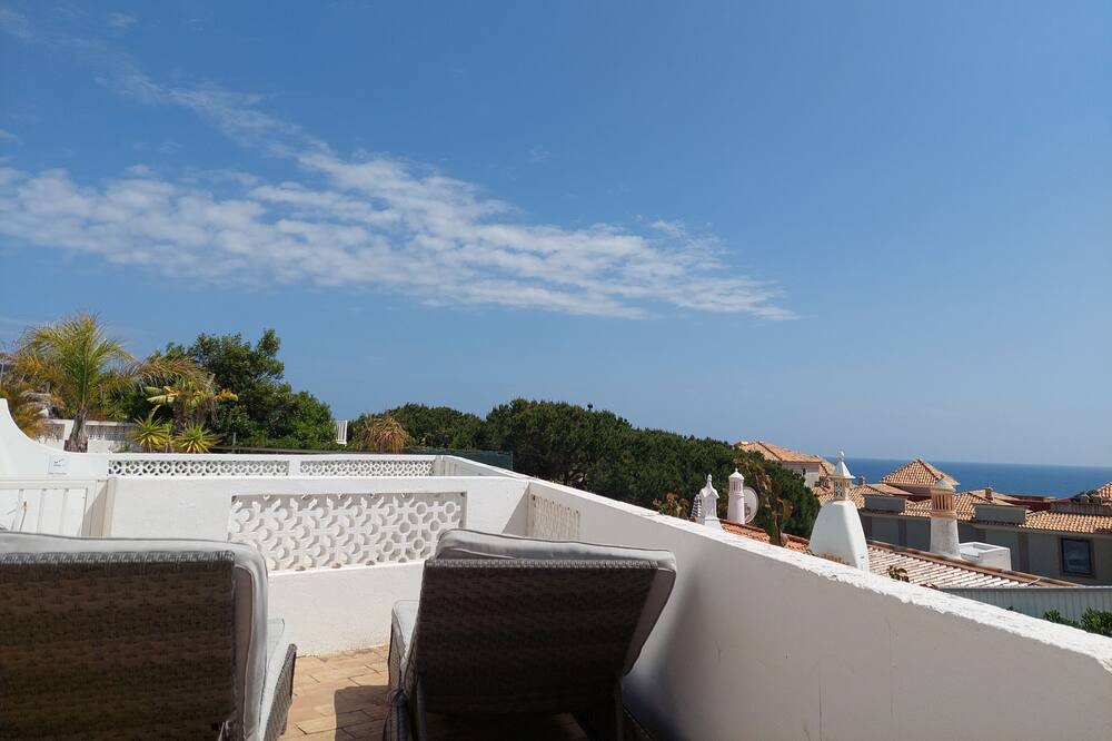 Photo of Outdoor in Calicos