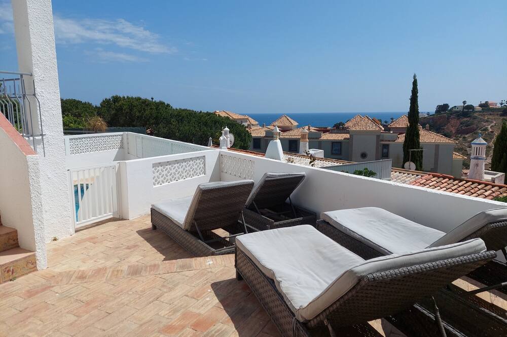 Photo of Outdoor in Calicos