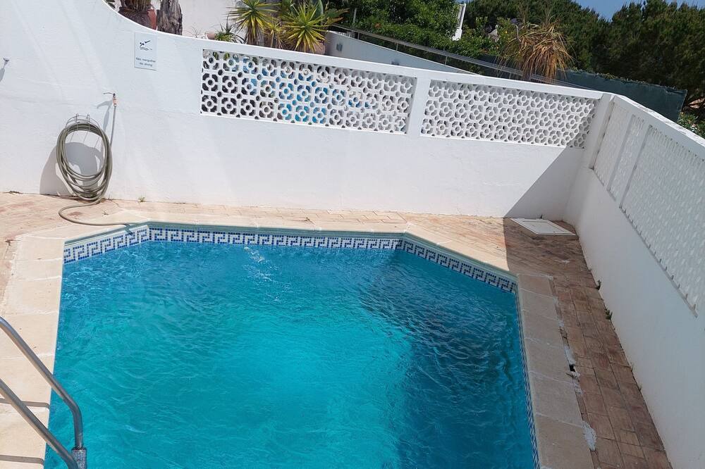 Photo of Outdoor in Calicos