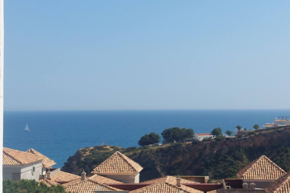 Photo of Others in Calicos