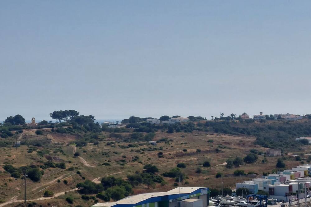 Photo of Outdoor in Calicos