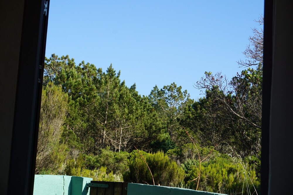 Photo of Others in Aljezur