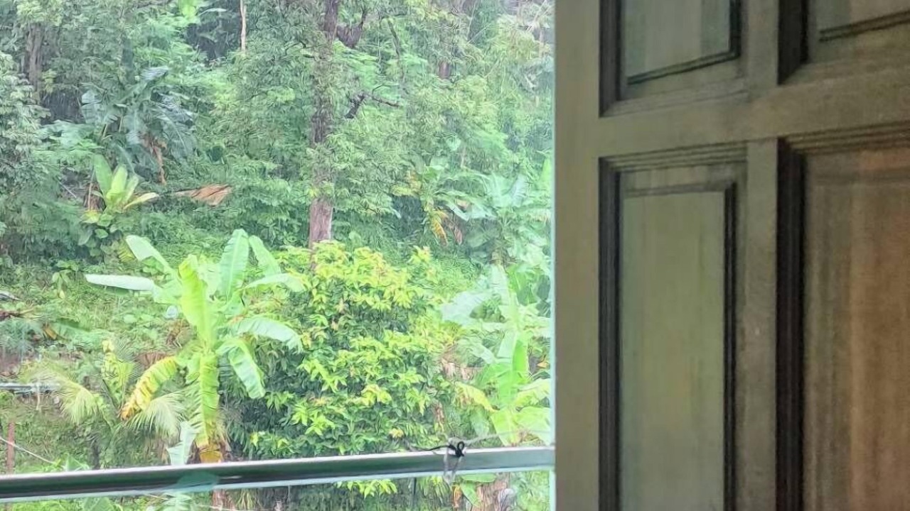 Photo of Outdoor in Nanai Road