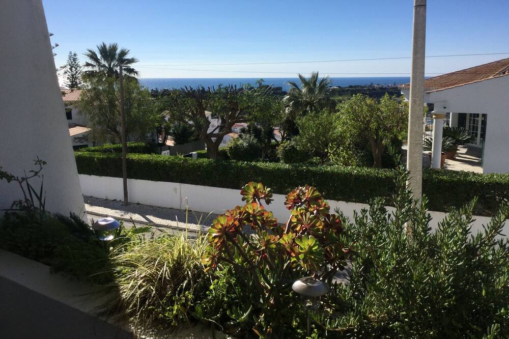 Photo of Outdoor in Calicos