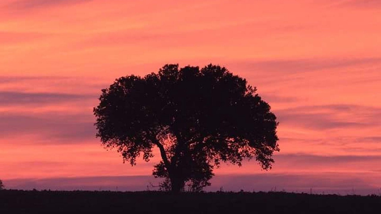 Photo of Outdoor in Santiago do Cacem