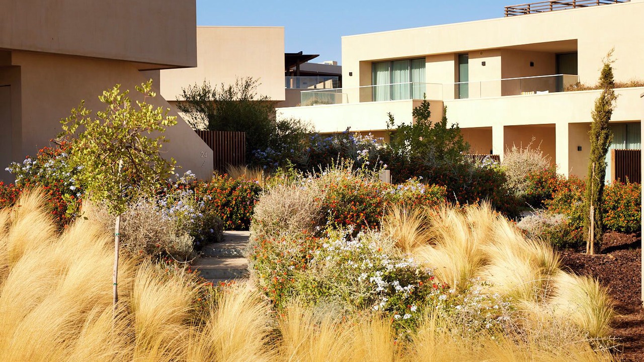 Photo of Outdoor in Alporchinhos