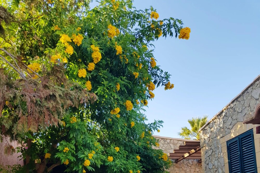 Photo of Others in Farta Vacas
