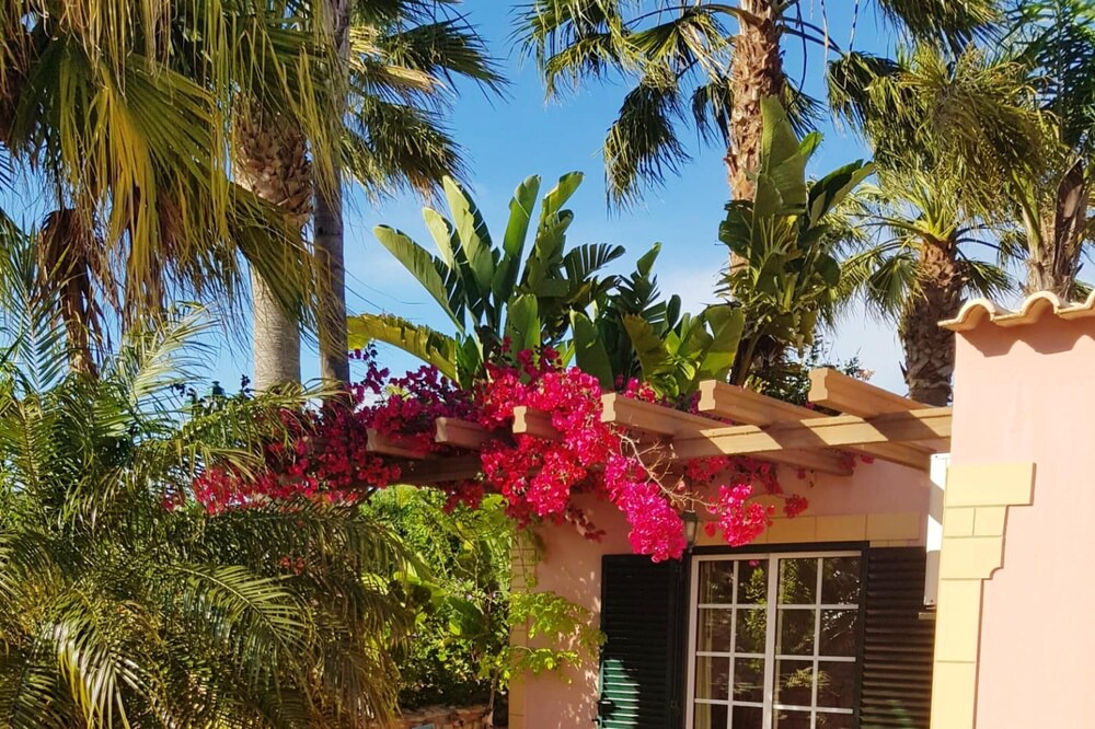 Photo of Outdoor in Farta Vacas