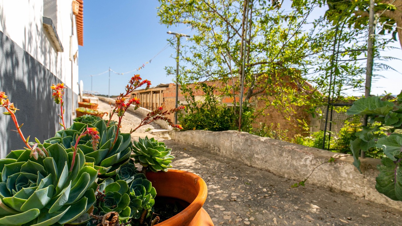 Photo of Outdoor in Aljezur