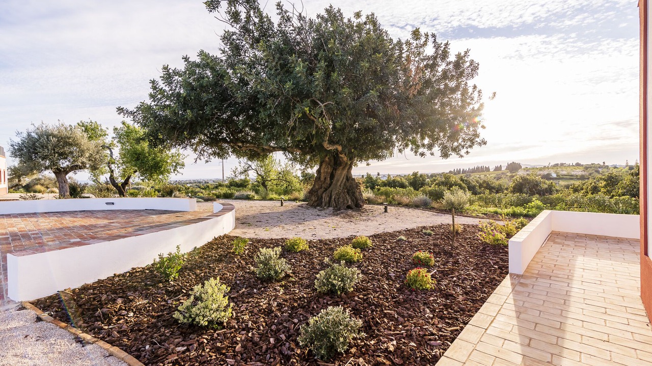 Photo of Outdoor in Tavira