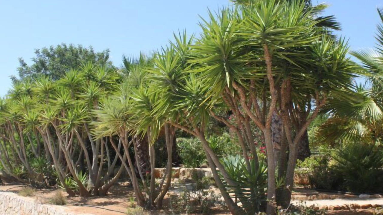 Photo of Outdoor in Poco Partido
