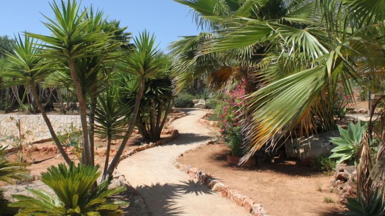 Photo of Outdoor in Poco Partido