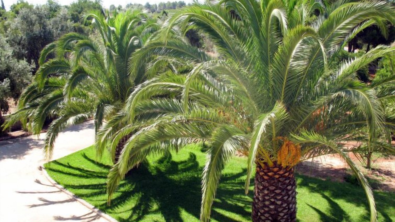Photo of Outdoor in Poco Partido