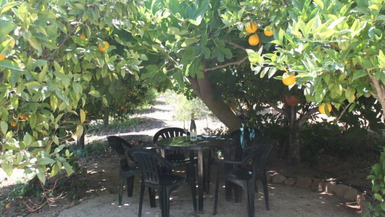 Photo of Outdoor in Poco Partido