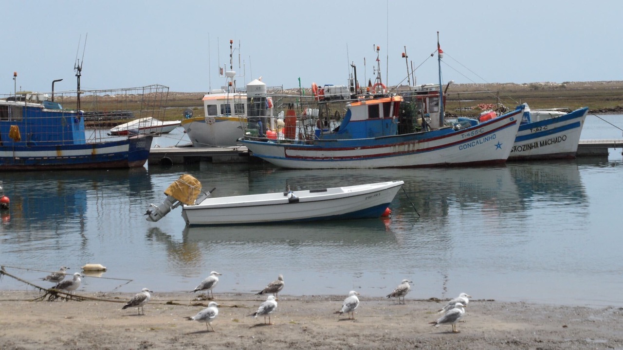 Photo of Others in Santa Luzia