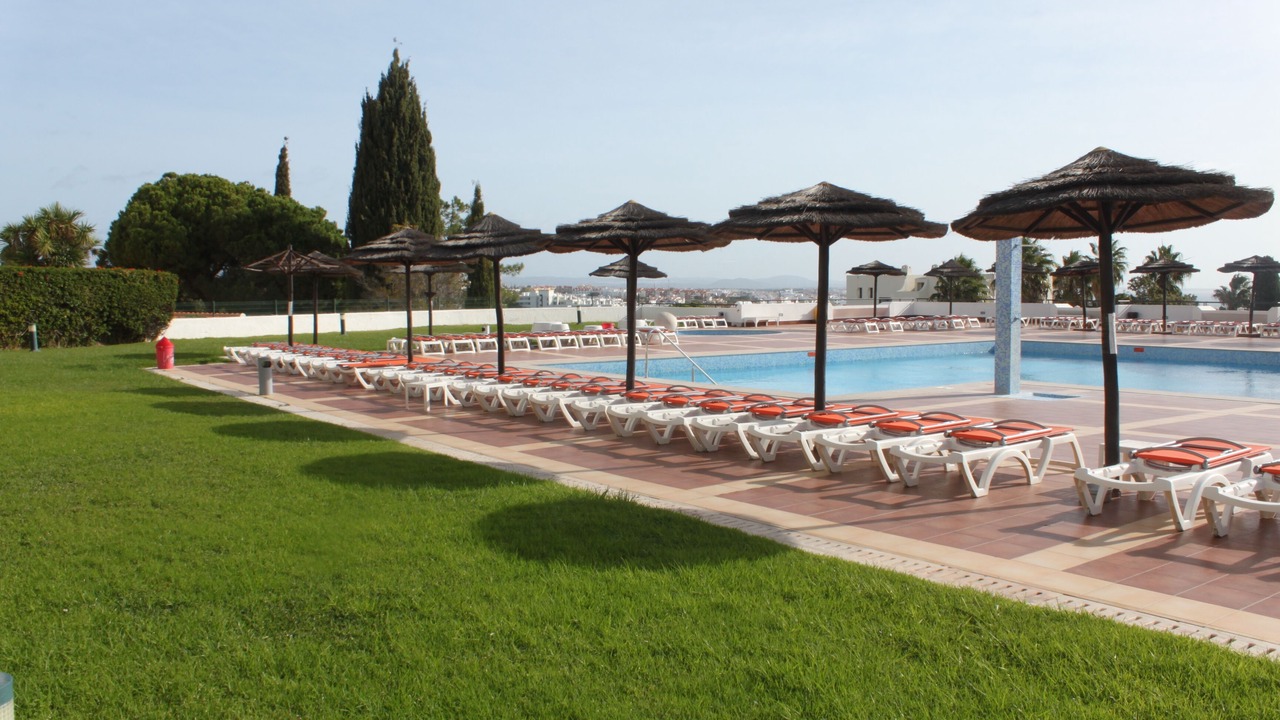 Photo of Outdoor in Calicos