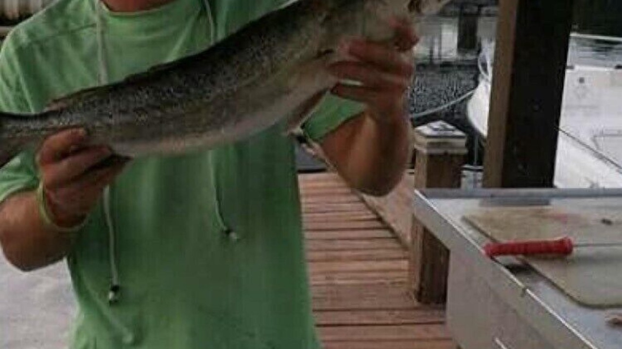 Photo of Outdoor in Orange Beach