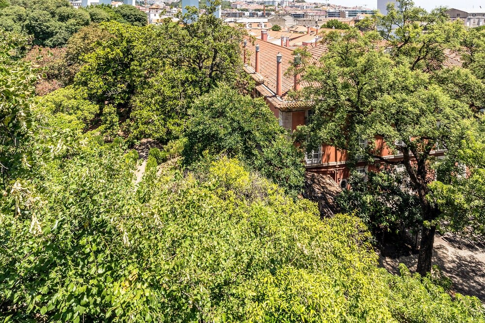 Photo of Outdoor in Santo Amaro
