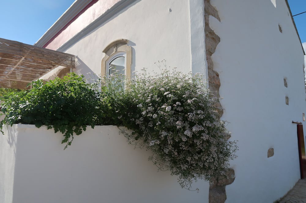 Photo of Outdoor in Parragil